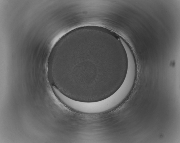 X0000111810944200907301230