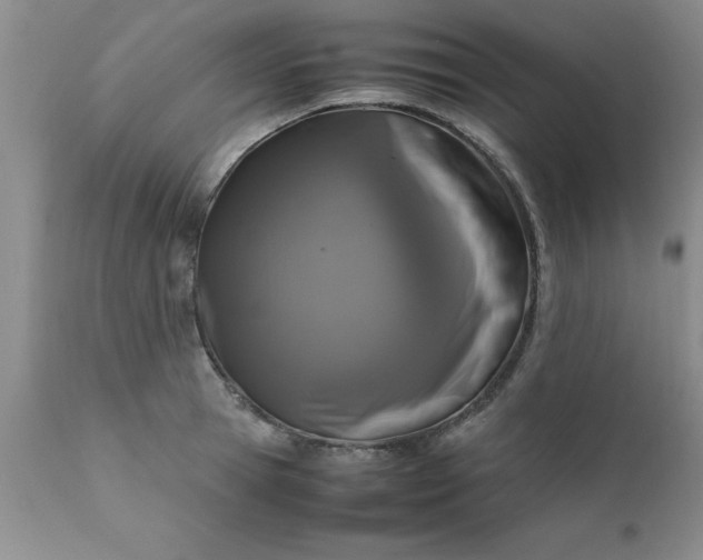 X0000111810945200907301230