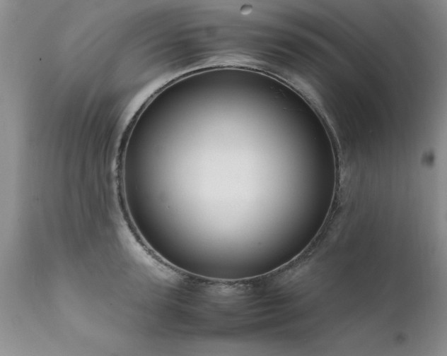 X0000111810947200907301230