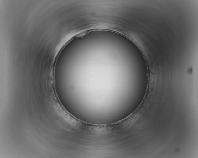 X0000111810948200907301230