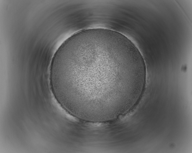 X0000111810949200907301230