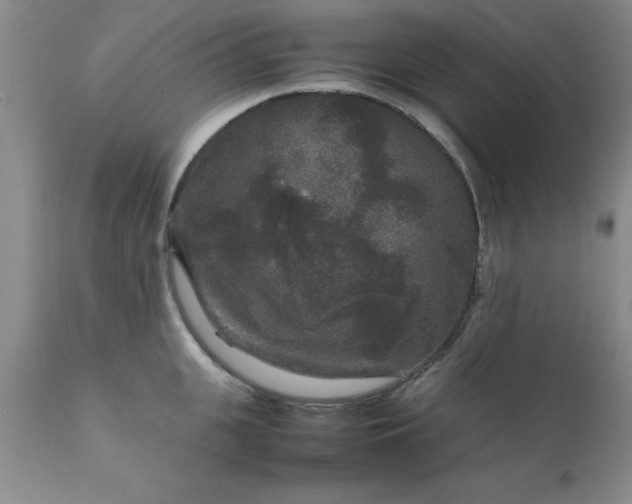 X0000111810951200907301230