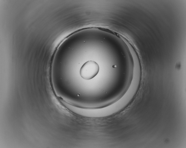 X0000111810952200907301230