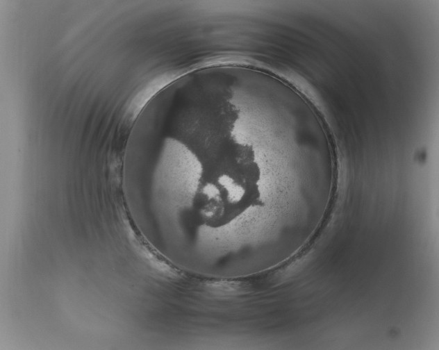 X0000111810953200907301230