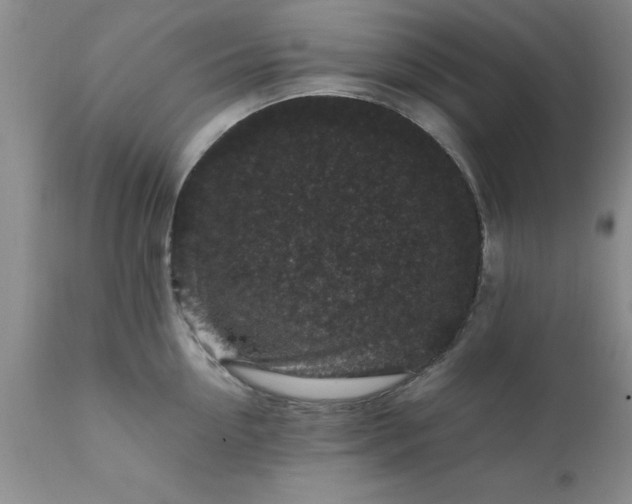 X0000111810954200907301230