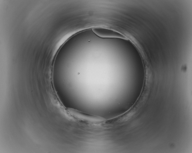 X0000111810956200907301230