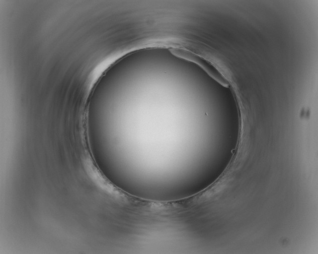 X0000111810960200907301230