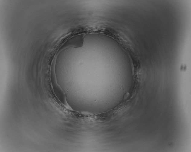 X0000111810961200907301229