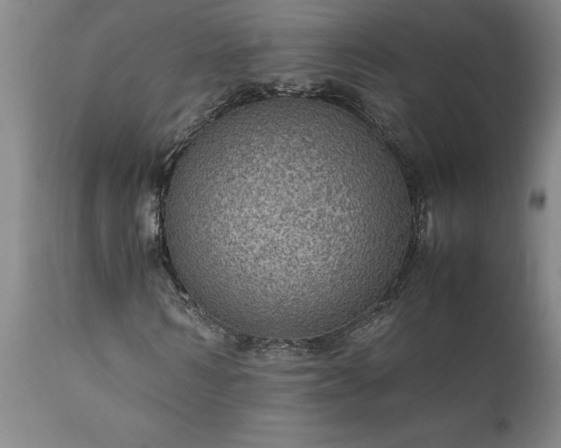 X0000111810962200907301229