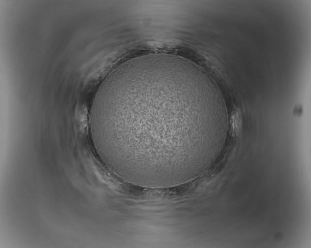 X0000111810963200907301229