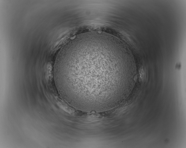 X0000111810964200907301229