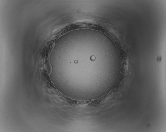 X0000111810965200907301229
