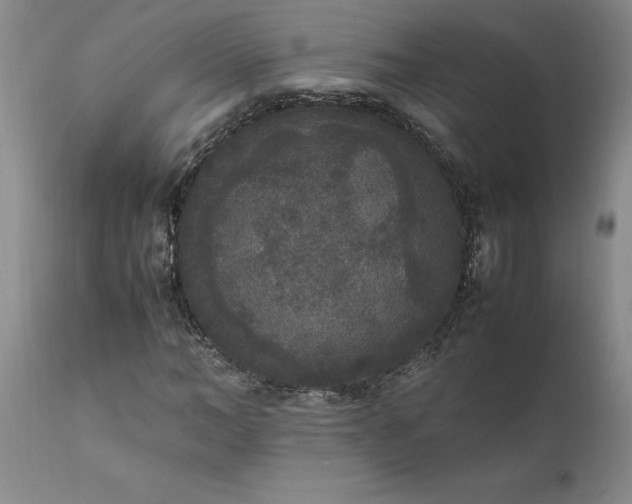 X0000111810966200907301229