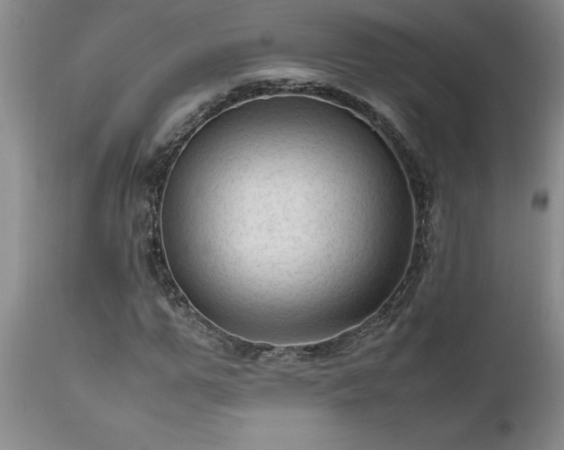X0000111810967200907301229