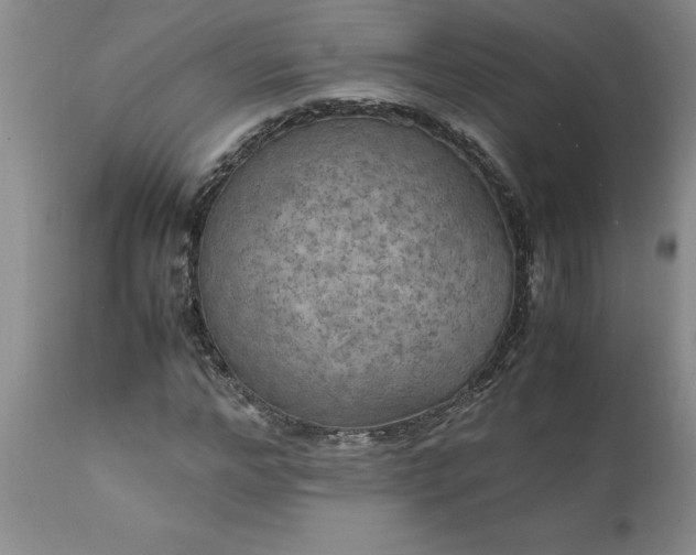 X0000111810968200907301229