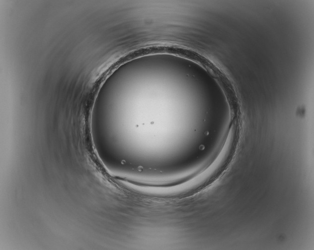X0000111810969200907301229