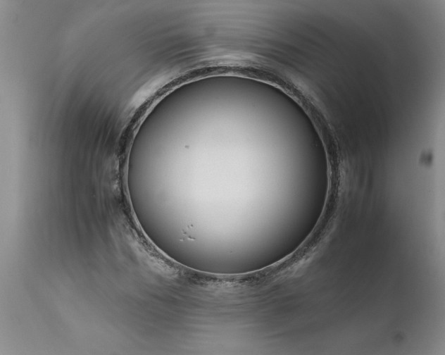 X0000111810970200907301229