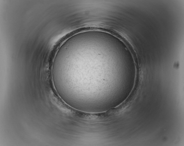 X0000111810971200907301229