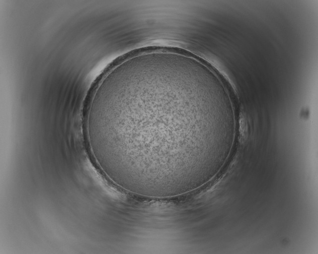 X0000111810972200907301229