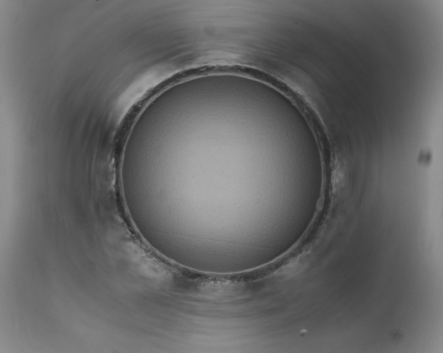 X0000111810973200907301229