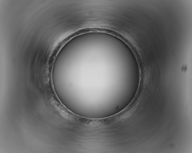 X0000111810974200907301229