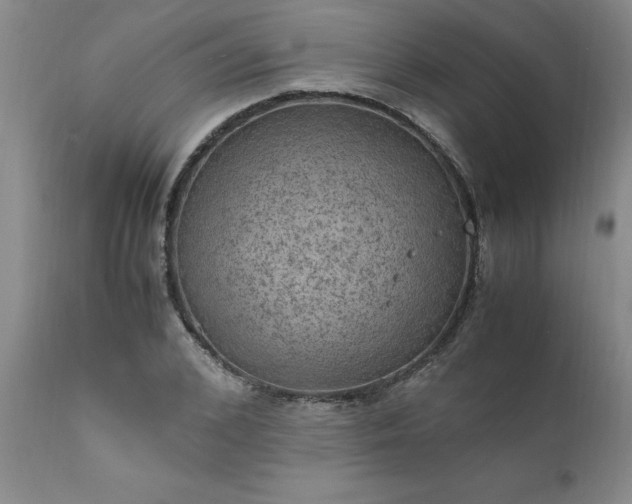 X0000111810976200907301229