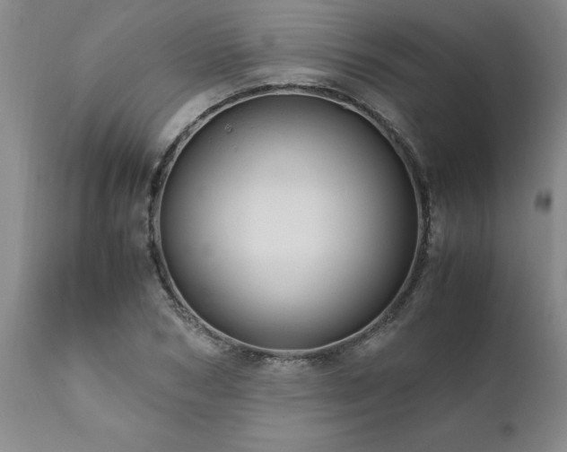 X0000111810978200907301229
