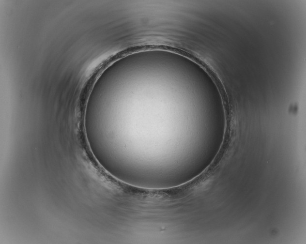 X0000111810979200907301229