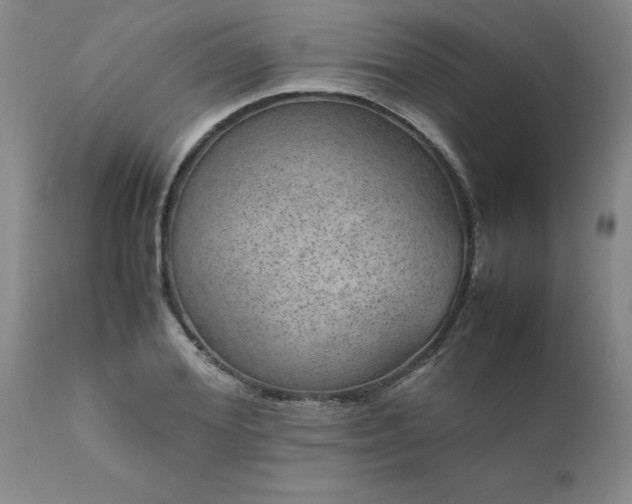 X0000111810980200907301229