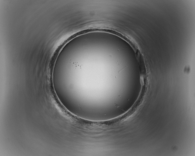X0000111810981200907301229