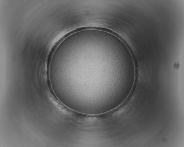 X0000111810982200907301229