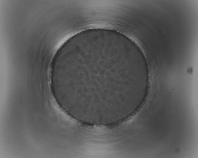X0000111810983200907301229