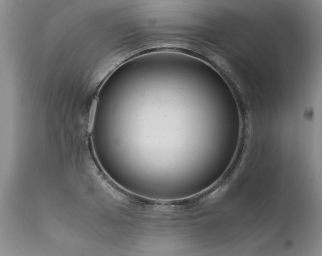X0000111810985200907301229
