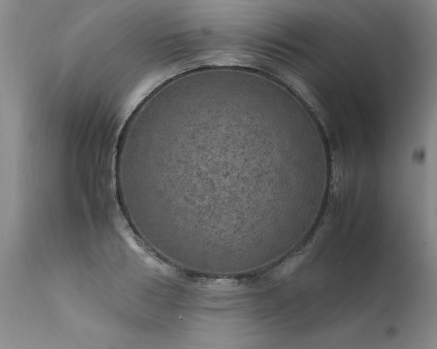 X0000111810986200907301229