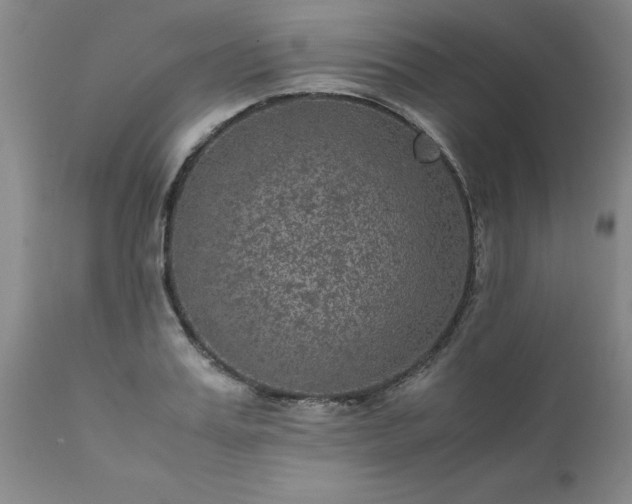 X0000111810987200907301229