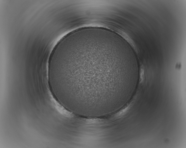 X0000111810988200907301229
