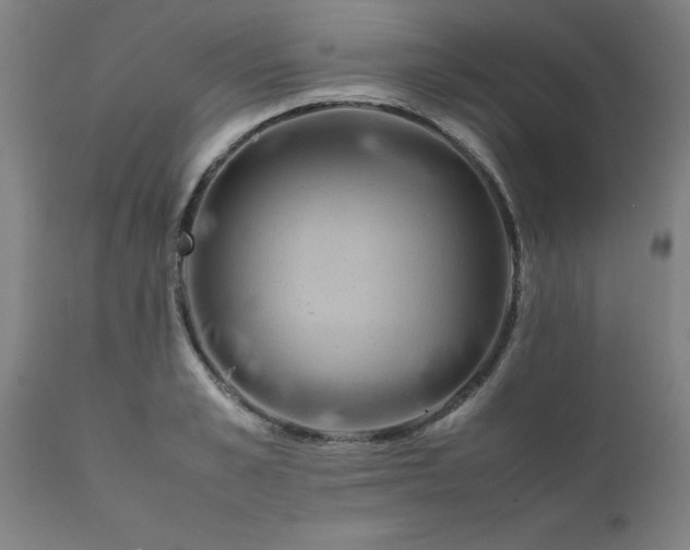 X0000111810989200907301229