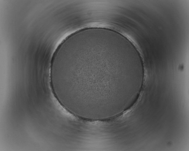 X0000111810992200907301229