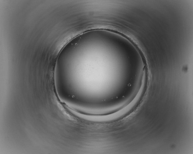 X0000111810993200907301229