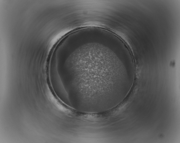 X0000111810995200907301229