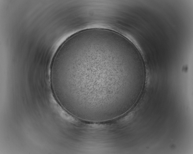 X0000111810996200907301229