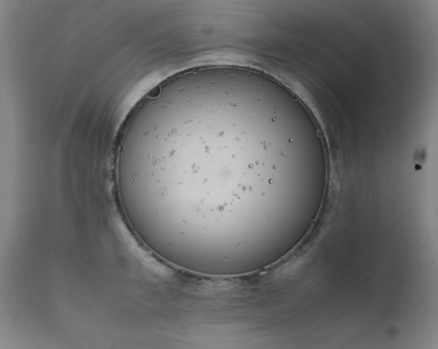 X0000111810997200907301229