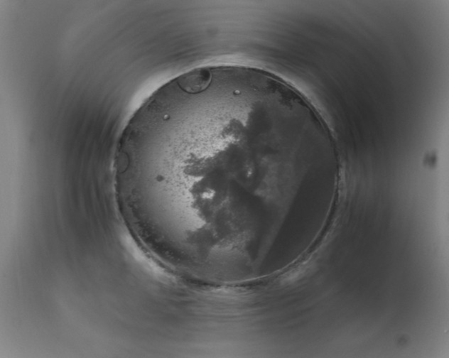 X0000111810998200907301229