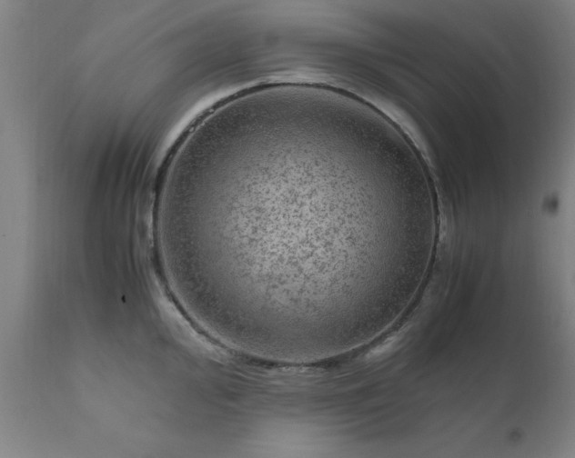 X0000111811000200907301229
