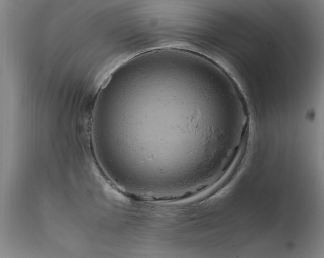 X0000111811001200907301229