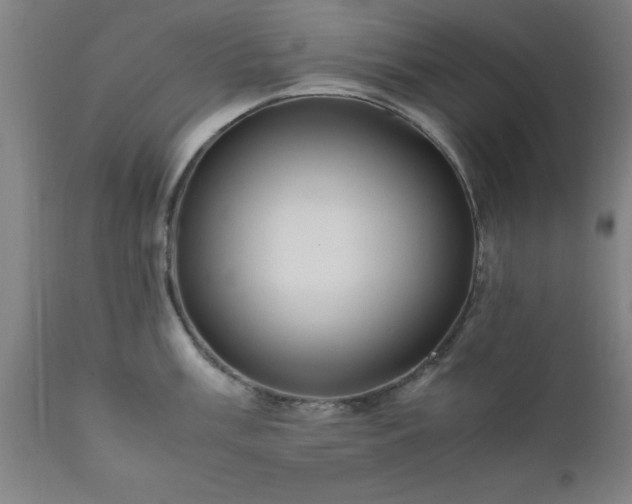 X0000111811003200907301229