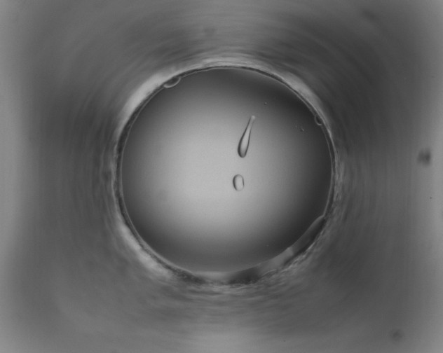 X0000111811005200907301228