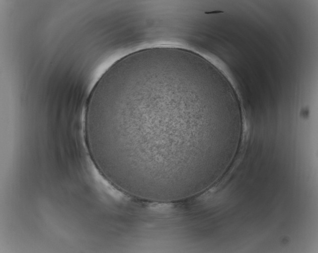 X0000111811006200907301228