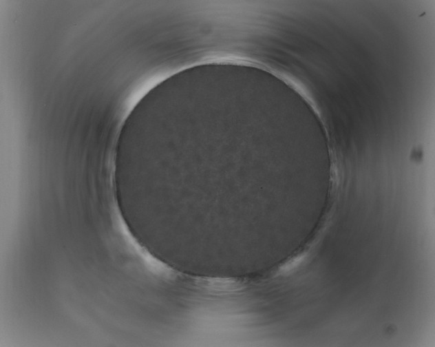 X0000111811007200907301228