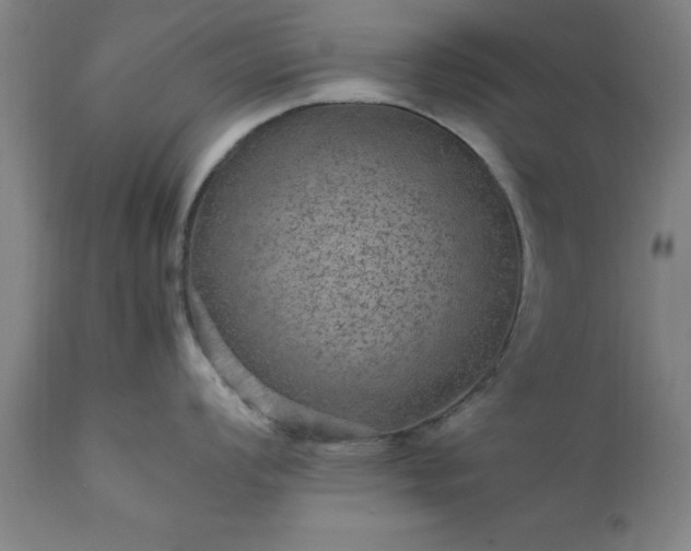 X0000111811008200907301228
